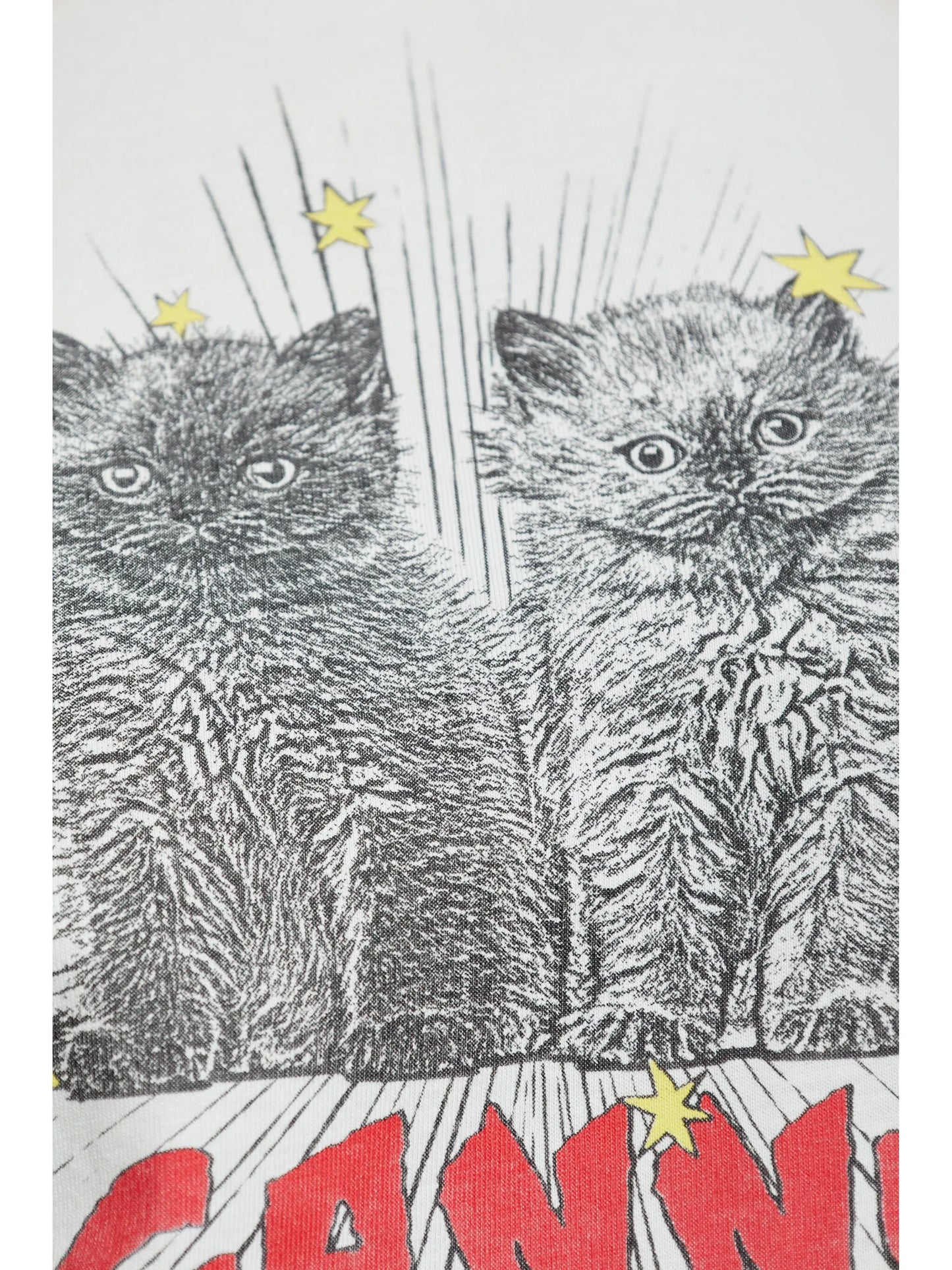 BASIC JERSEY KITTENS RELAXED T-SHIRT ILLUSION BLUE
