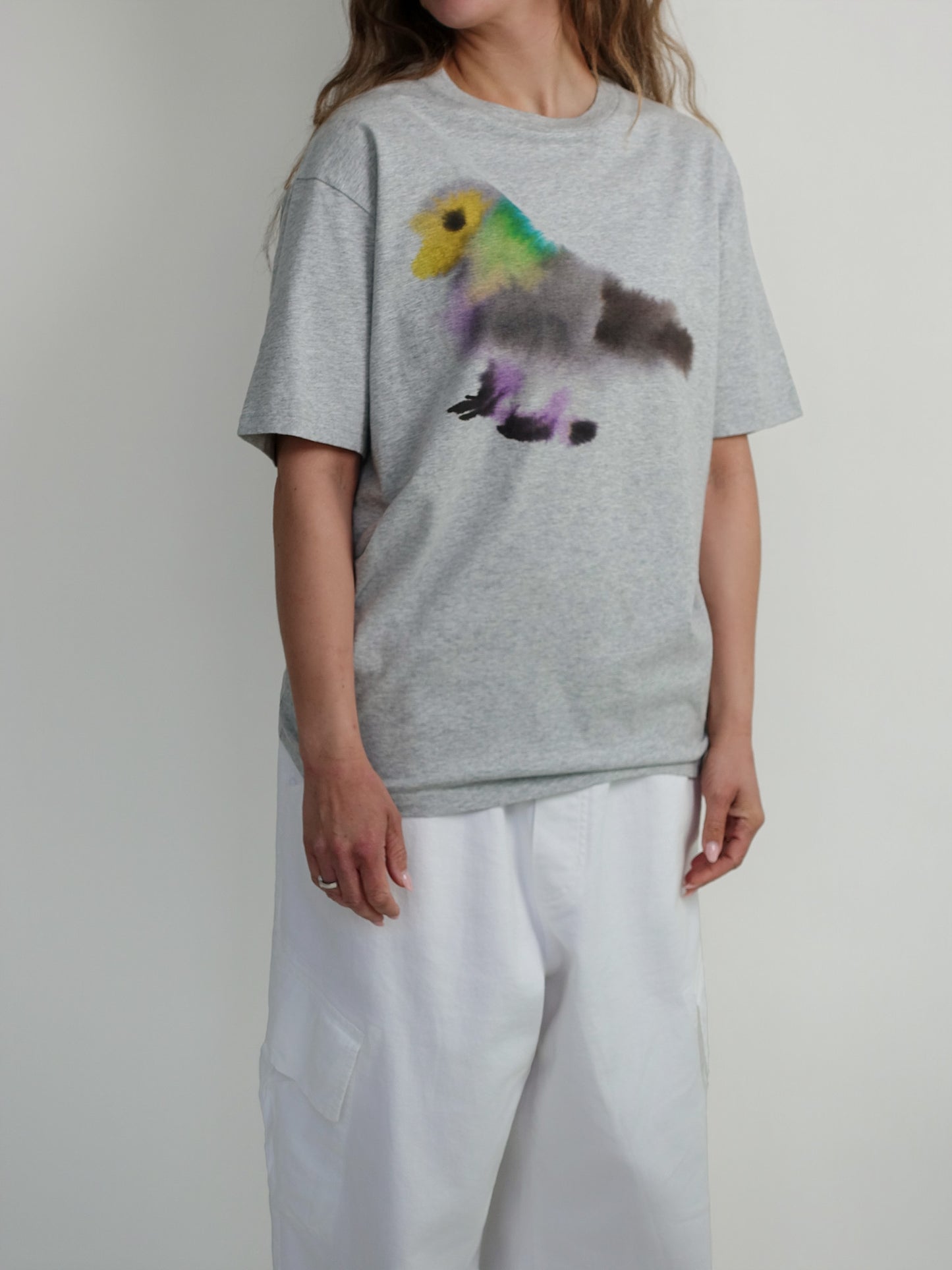 PIGEON ADULT T-SHIRT PRINT