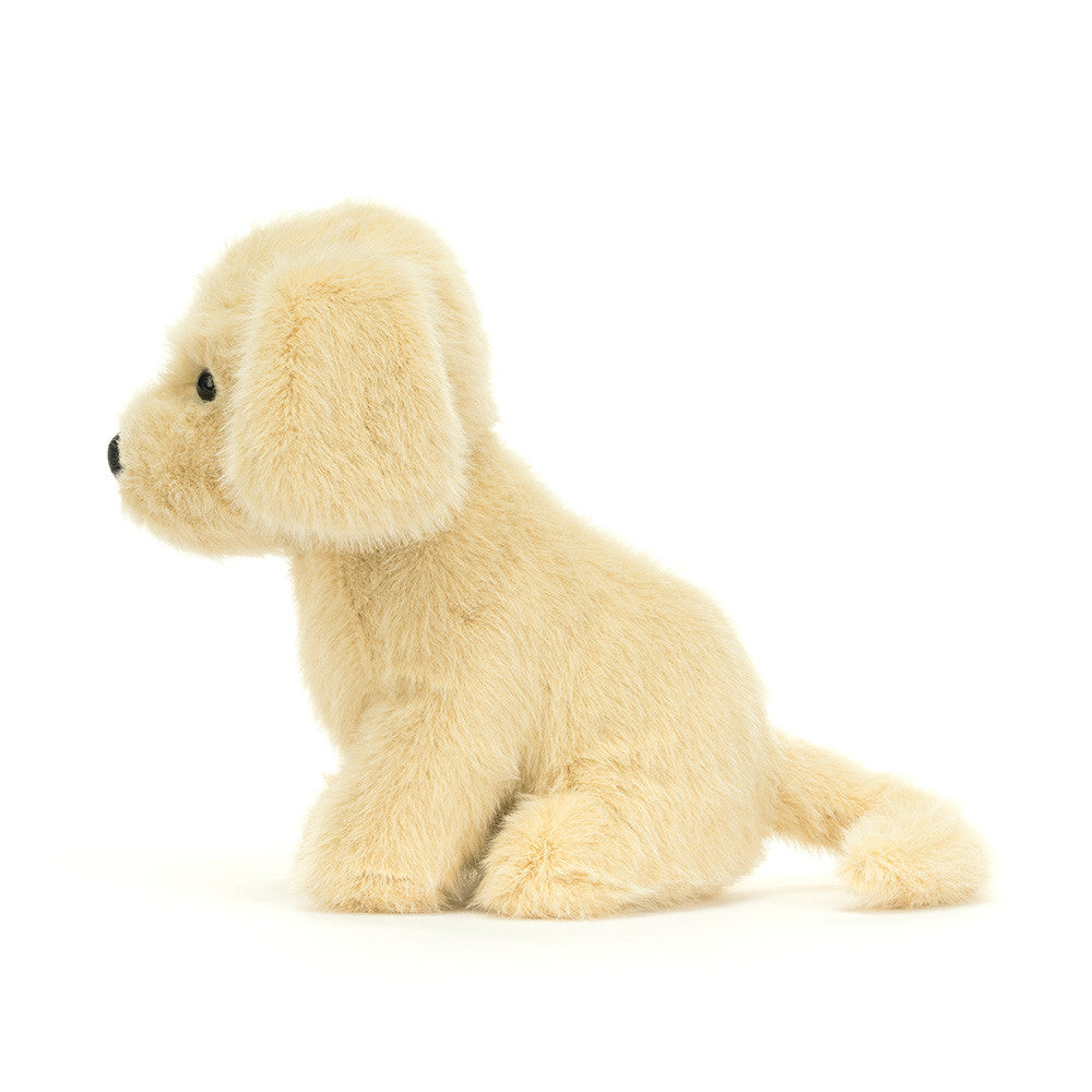 GOLDEN PUPPY BROWN