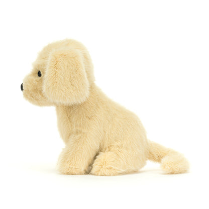 GOLDEN PUPPY BROWN