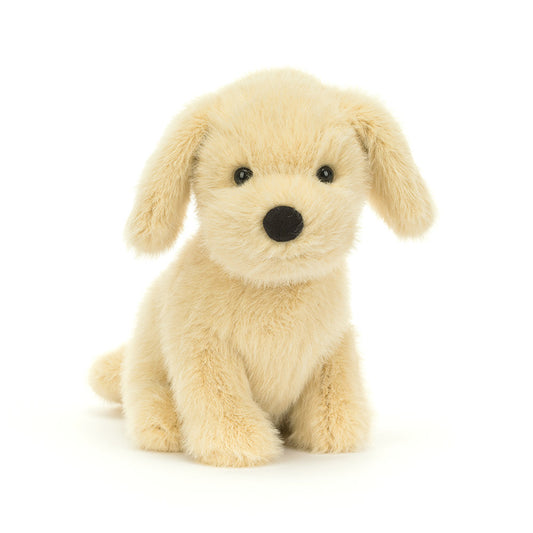 GOLDEN PUPPY BROWN